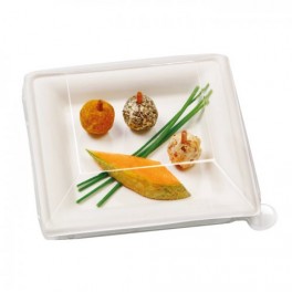 ASSIETTE PULPE 16x16CM (x25)