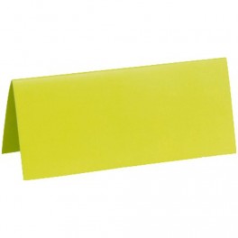 MARQUE PLACE RECTANGLE VERT ANIS (x10)