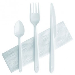 KIT COUVERTS PLASTIQUE BLANC (x250)