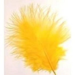 PLUME JAUNE (x20) PLUME JAUNE (x20)