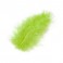 PLUME VERTE (x20)