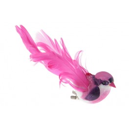 OISEAU FUSCHIA SUR PINCE