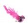 OISEAU FUSCHIA SUR PINCE