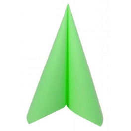 SERVIETTES VOIE SECHE VERT POMME 40X40CM (X50)