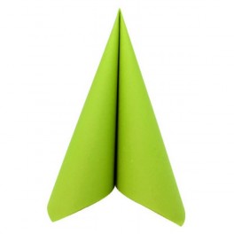 SERVIETTES VOIE SECHE VERT KIWI 40X40CM (X50)